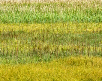 Grasses in Alaska  Minimalist fine art nature photography prints, oversized wall decor, landscape photography, large wall art