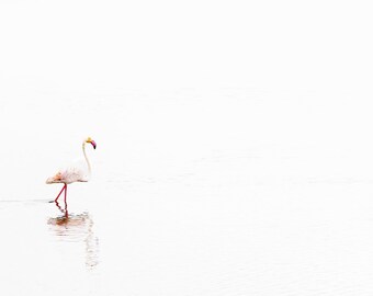 Tanzania Flamingo,  Minimalist fine art prints, oversized wall decor, landscape photography, large wall art