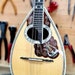 see more listings in the Mandolin & Mandola section