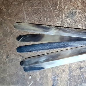 Puede incluir: Cuatro piezas finas y planas de cuerno, cada una con una superficie pulida oscura, casi negra, en un lado y una superficie natural, marrón claro, sin pulir en el otro.