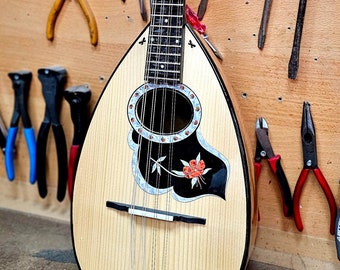 優先配送 Rex Back Bowl Mandolin Professional an Has Gretsch by 弦楽器