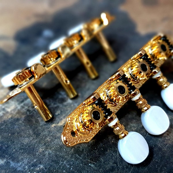 Bouzouki Tuners | Grover Professional Bouzouki Tuners Gold & White Button