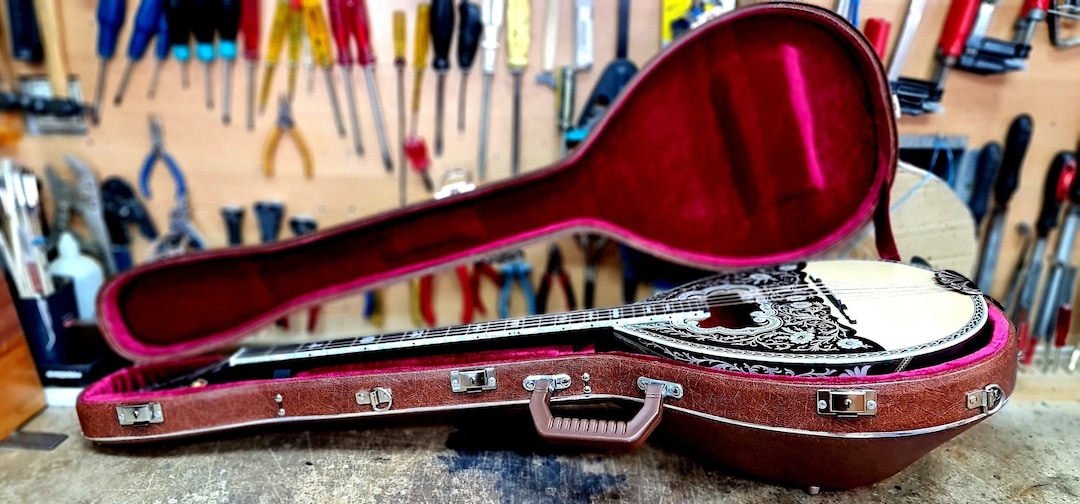 Bouzouki Deluxe Hard Travel Case Etsy