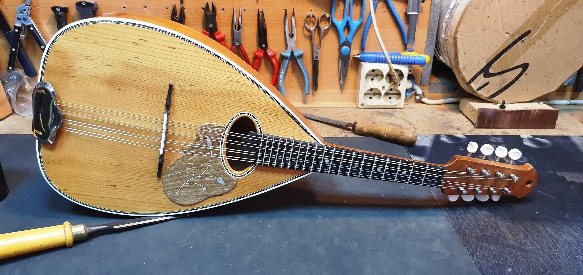 stringed instruments like a lute stringed instruments like a lute