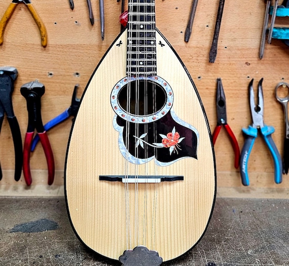 HAND-CRAFTED MANDOLIN VeneziaM-50(メ1035) 1__71774.1727207215.386.513.