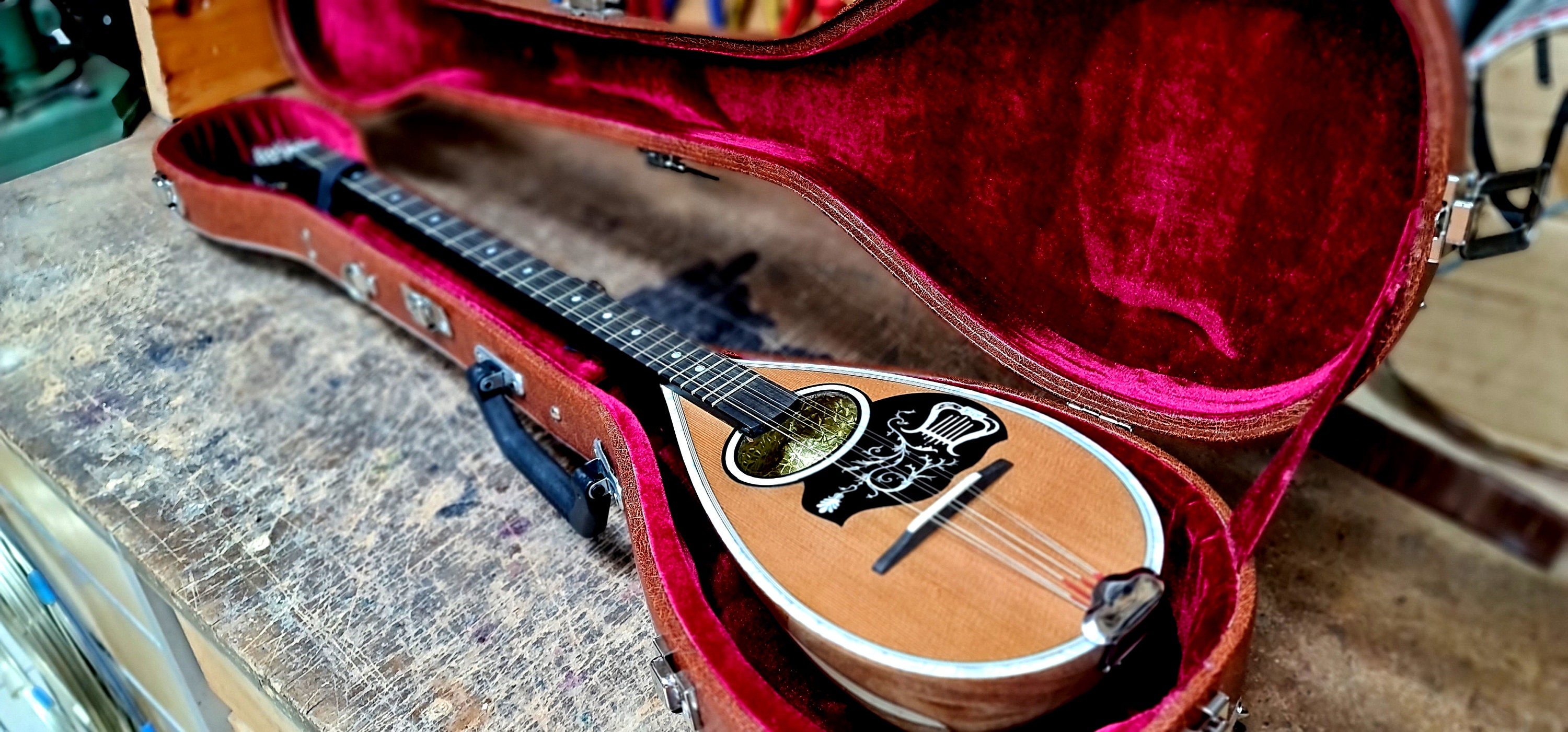 Charango cases - Etsy 日本