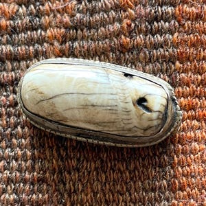 Könnte beinhalten: Eine antike, oval geformte Schmuckschatulle mit einer hellfarbigen, strukturierten Oberseite und einem silberfarbenen Metallrahmen. Die Schatulle hat ein kleines Loch auf der Oberseite. Die Schatulle liegt auf einer braunen und orangefarbenen strukturierten Oberfläche.