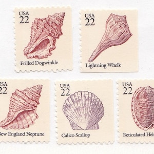 May include: Five vintage US postage stamps featuring illustrations of different seashells. The stamps are all from 1992 and feature the text "USA 22". The shells are: Frilled Dogwinkle, Lightning Whelk, New England Neptune, Calico Scallop, and Reticulated Helmet.