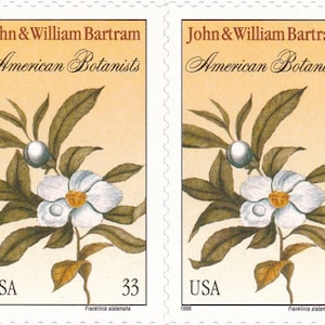 May include: Two postage stamps featuring a botanical illustration of a white flower with a yellow center, surrounded by green leaves and a white berry. The stamps read "John & William Bartram American Botanists" and "USA 33".