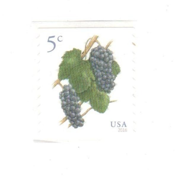Pinot Noir Grapes Stamp 5c Unused Self Adhesive Postage Stamps for Mailing - Collecting - Crafts. Scott Catalog 5038