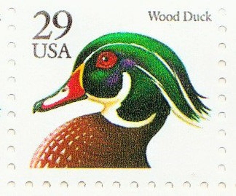 10 Wood Duck 29c Unused Vintage 1991 Postage Stamps for Mailing