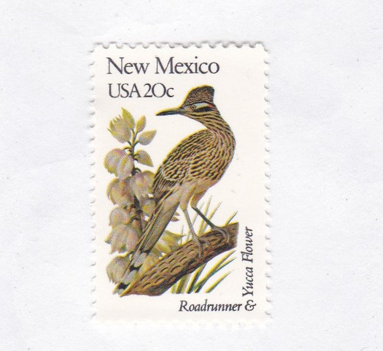 New Mexico State Birds and Flowers 20c Unused Vintage 1982 | Etsy