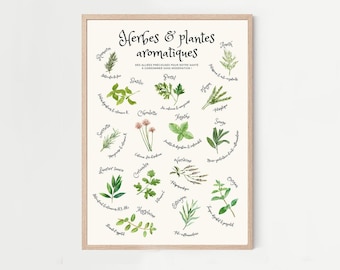 Affiche cuisine herbes aromatiques, Illustration aquarelle plantes aromatiques, décoration cuisine plantes aromatiques