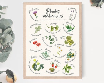 Medicinal herb poster, watercolor plant illustration, healthy life poster, vintage plant kitchen print, herbal medicine wall print