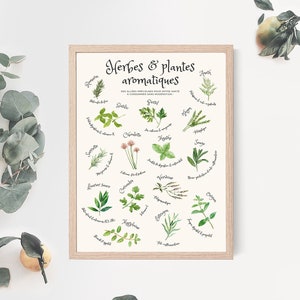 Aromatic plants wall printr, watercolor kitchen herb illustration, culinary art poster, vegan kitchen print, healthy lifestyle print