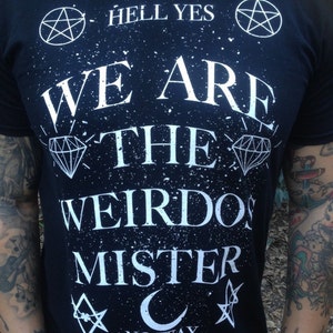 We Are The Weirdos Mister