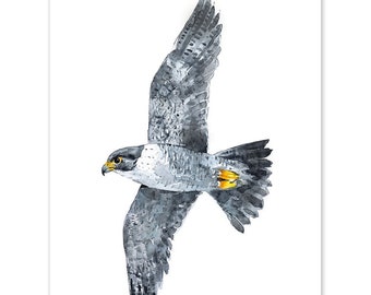 Peregrine Falcon Watercolor, Bird in Flight Print, Bird of Prey Art, Wall Decor, Giclée Print, Contemporary Painting by Luke Kanelov