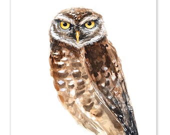 Op de afbeelding: Waterverf schilderij van een bruine en witte uil met gele ogen. De uil kijkt naar voren en heeft zijn vleugels gevouwen. De achtergrond is wit.