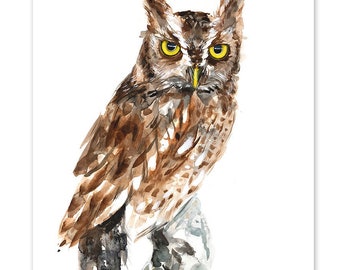 Screech Owl Watercolor Print, Bird of Prey Art, Funny Owl, Wall Decor, Giclée, Contemporary Art by Luke Kanelov