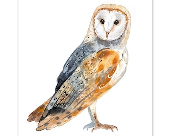 Op de afbeelding: Waterverf schilderij van een kerkuil met bruine, witte en grijze veren. De uil kijkt recht naar de kijker met zijn grote, gele ogen.