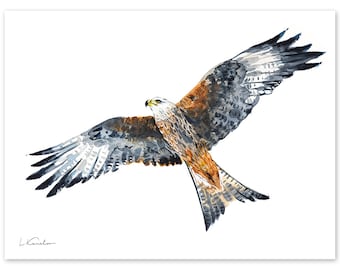 Red Kite Watercolor, Bird in Flight Print, Bird of Prey Art, Wall Decor, Giclée Print, Contemporary Painting by Luke Kanelov