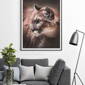 May include: A close-up portrait of a brown cougar with green eyes, looking to the left. The cougar is in focus, while the background is blurred.