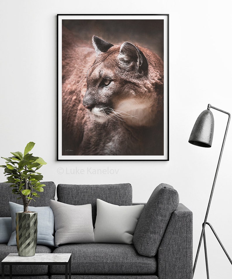 May include: A close-up portrait of a brown cougar with green eyes, looking to the left. The cougar is in focus, while the background is blurred.
