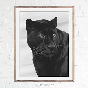 Black Panther Print, Panther, Jaguar, Wall Art, Wild Cat, Wildlife, Fine Art Print, Handmade, Home Decor, Wall Art, Cat Lover Gift