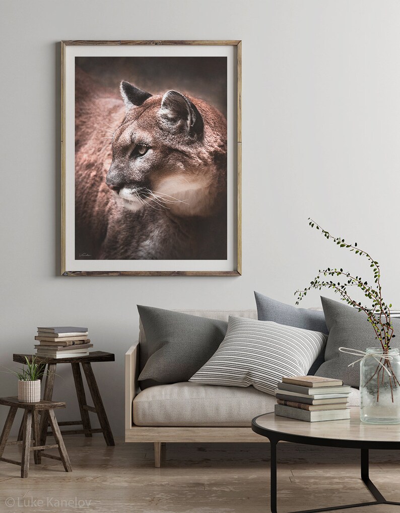 May include: A framed photograph of a brown and white cougar with green eyes looking to the left. The cougar is in a dark brown setting. The frame is made of wood with a light brown finish.
