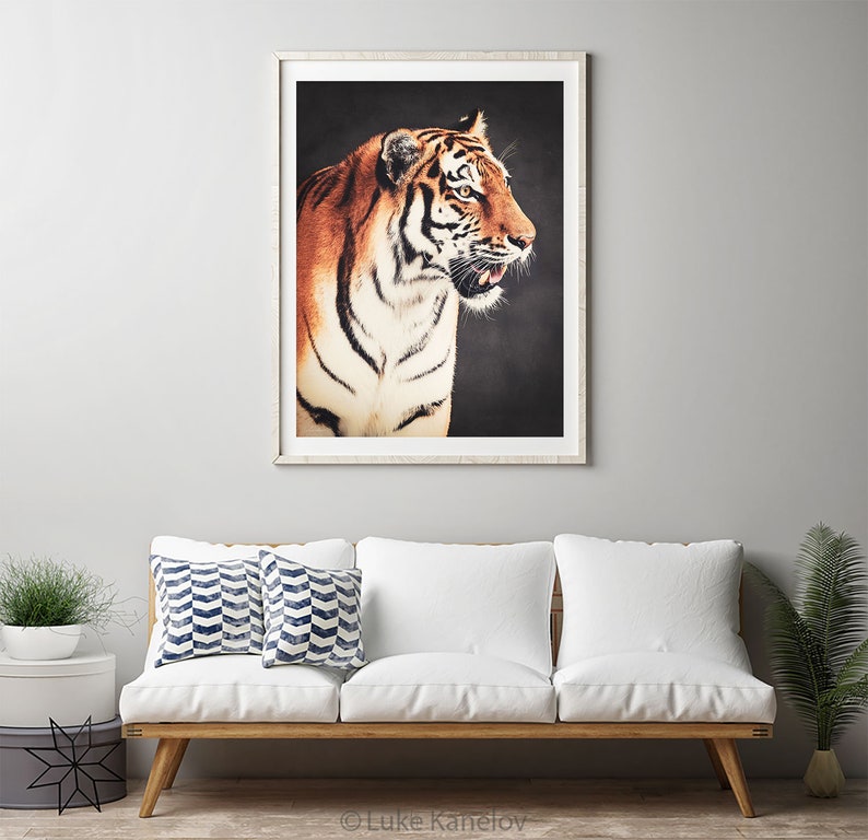 Tiger Home Decor Print Bengal Tiger Siberian Tiger Wild Etsy
