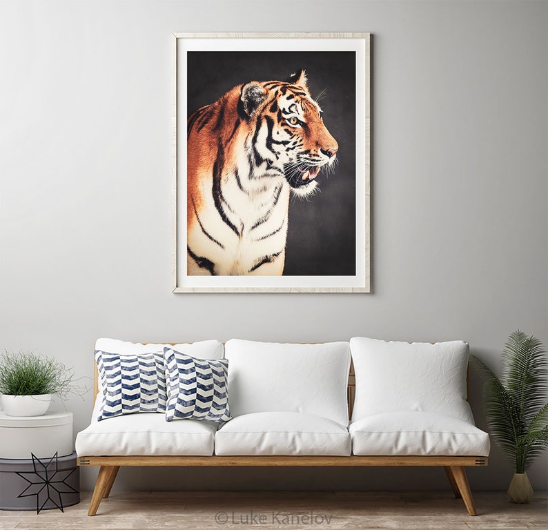 Tiger Home Decor Print Bengal Tiger Siberian Tiger Wild - Etsy