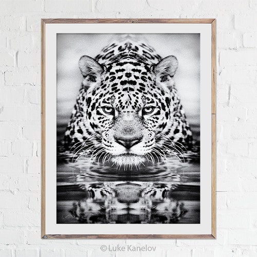 Leopard Wall Art Leopard Canvas Print Leopard Wall Decor Etsy