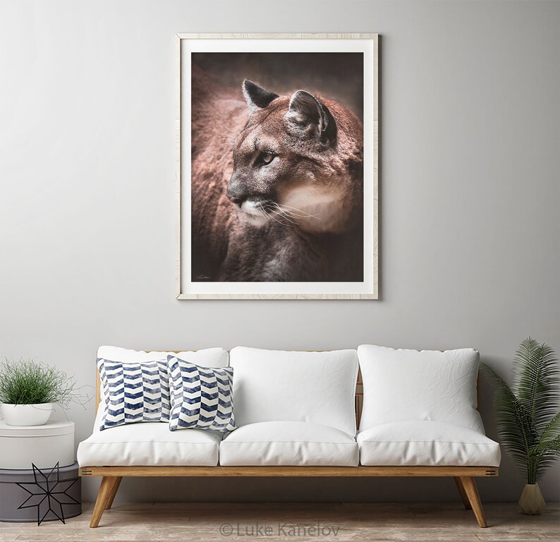 May include: A close-up portrait of a brown and tan cougar with green eyes. The cougar is looking to the left of the frame. The background is a dark brown color.