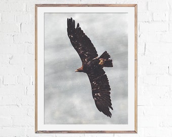 Golden Eagle Photography Print, Eagle Art, Golden Eagle Art, Fine Art, Wall Decor, Home Decoration, Bird Lover Gift, Bird Poster