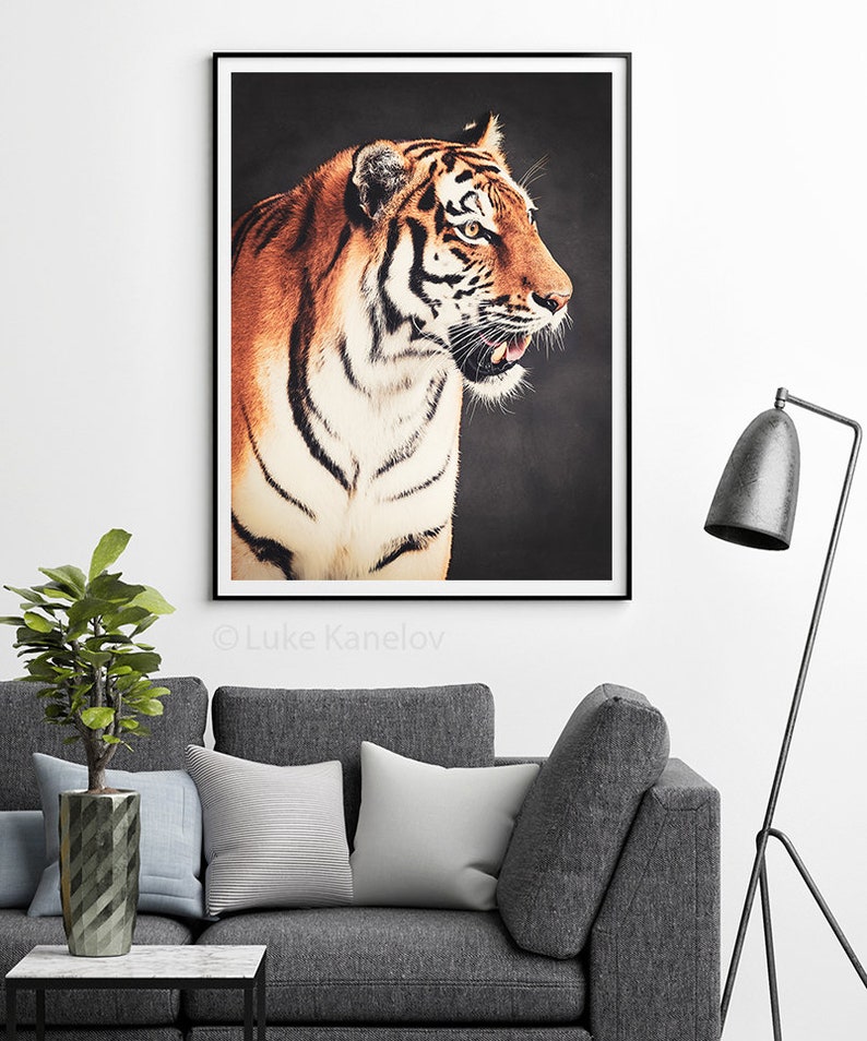 Tiger Home Decor Print Bengal Tiger Siberian Tiger Wild Etsy