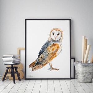Barn Owl Print, Watercolor Art, Funny Owl, Bird of Prey Art, Wall Decor ...