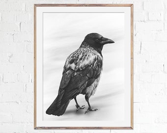 Crow Print, Raven Art, Wall Poster, Gothic Decor, Bird Photography, Black Crow, Wall Art, Bird Lover Gift Idea, Minimalist, Home Decor