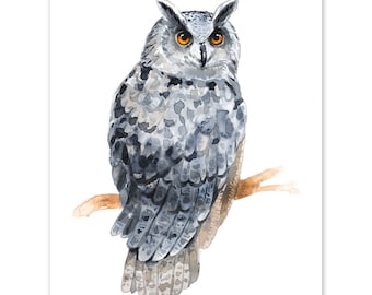 Eastern Screech Owl, Watercolor Art, Funny Owl, Bird of Prey, Art Gift, Wall Decor, Giclée, Colorful Print by Luke Kanelov