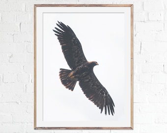 Golden Eagle Print, Eagle Fine Art Photography, Bird Lover Gift Idea, Wild Eagle, Eagle in Flight, Eagle Wall Decor, Golden Eagle Wings