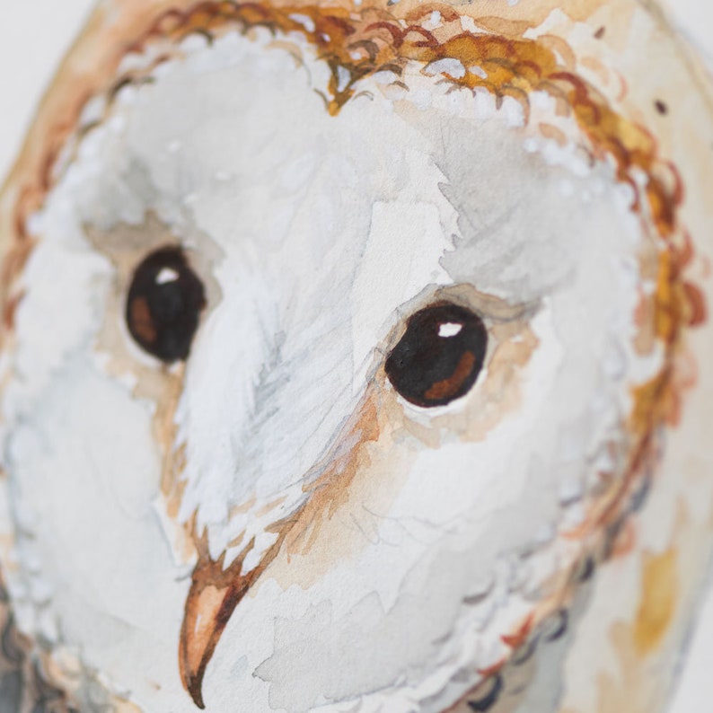 Barn Owl Print, Watercolor Art, Funny Owl, Bird of Prey Art, Wall Decor ...
