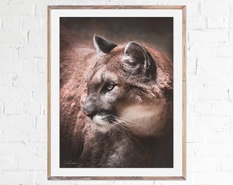 Puma Print, Cougar Home Decor, Mountain Lion, Wild Cat, Nursery Art, Gift Idea, Wildlife, Fine Art Print, Handmade, Wall Art, Cat Lover Gift