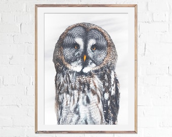 Great Grey Owl Print, Owl Photography, Bird Poster, Owl Art, Fine Art, Wall Decor, Home Decoration, Bird Lover Gift, Wildlife Photo
