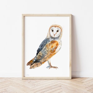 Barn Owl Print, Watercolor Art, Funny Owl, Bird of Prey Art, Wall Decor ...