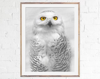 Snowy Owl Photography Print, Bird Poster, Owl Art, Fine Art, Wall Decor, Home Decoration, Bird Lover Gift, Wildlife photo