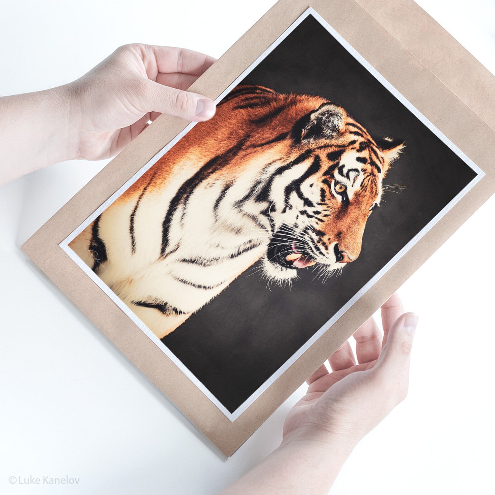Tiger Home Decor Print Bengal Tiger Siberian Tiger Wild Etsy