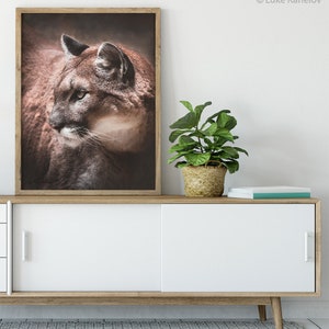 May include: A framed photograph of a brown cougar with a dark background. The cougar is looking to the left of the frame. The photo is hanging on a white wall above a white cabinet with a wooden top.