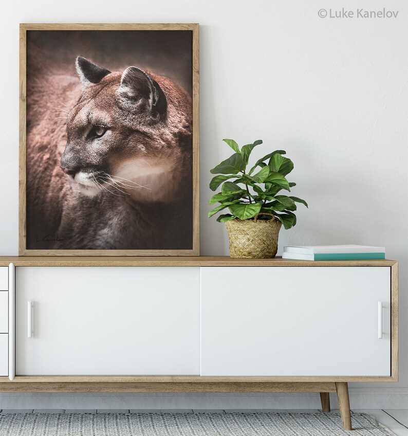 May include: A framed photograph of a brown cougar with a dark background. The cougar is looking to the left of the frame. The photo is hanging on a white wall above a white cabinet with a wooden top.
