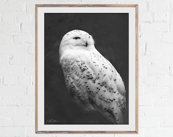 Snowy Owl print, Bird Photography, Owl Art, Black and White, Fine Art, Wall Decor, Home Decoration, Bird Lover Gift, Wildlife photo, White