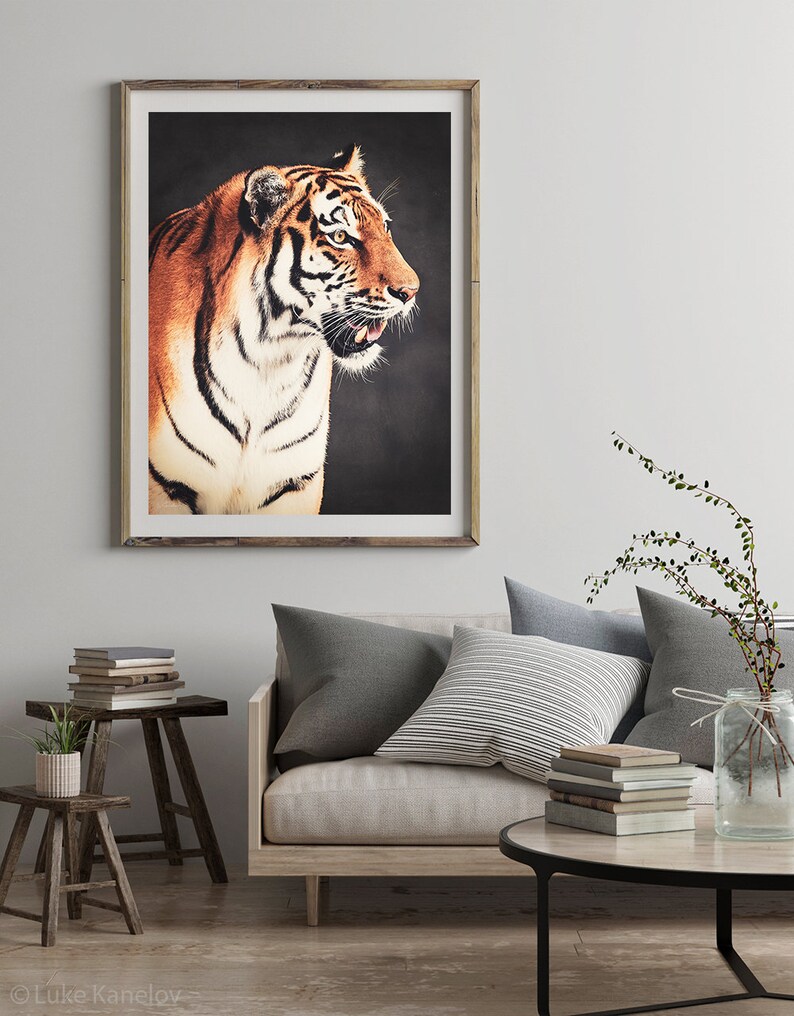 Tiger Home Decor Print Bengal Tiger Siberian Tiger Wild Etsy