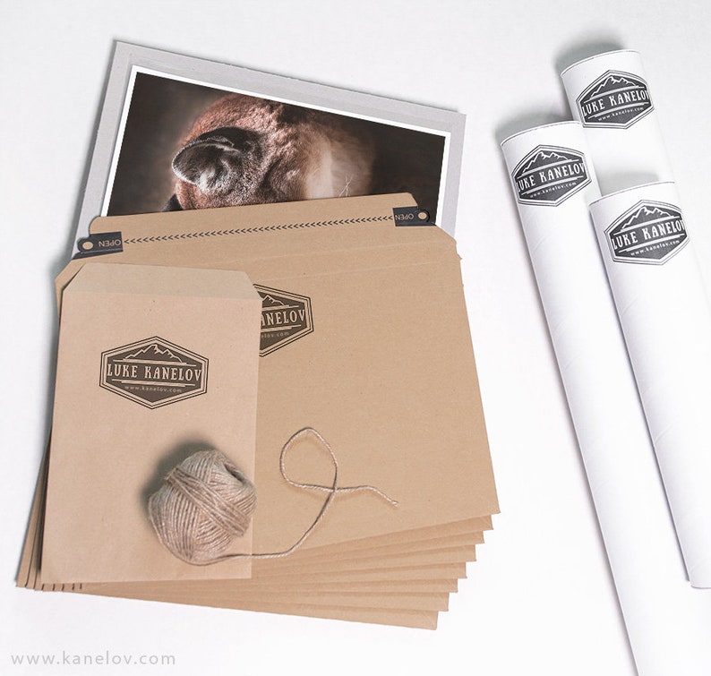 May include: A stack of brown paper envelopes with a string tied around them. The envelopes have a logo that says "Luke Kanelov" and a website address. There are also three white tubes with the same logo on them.